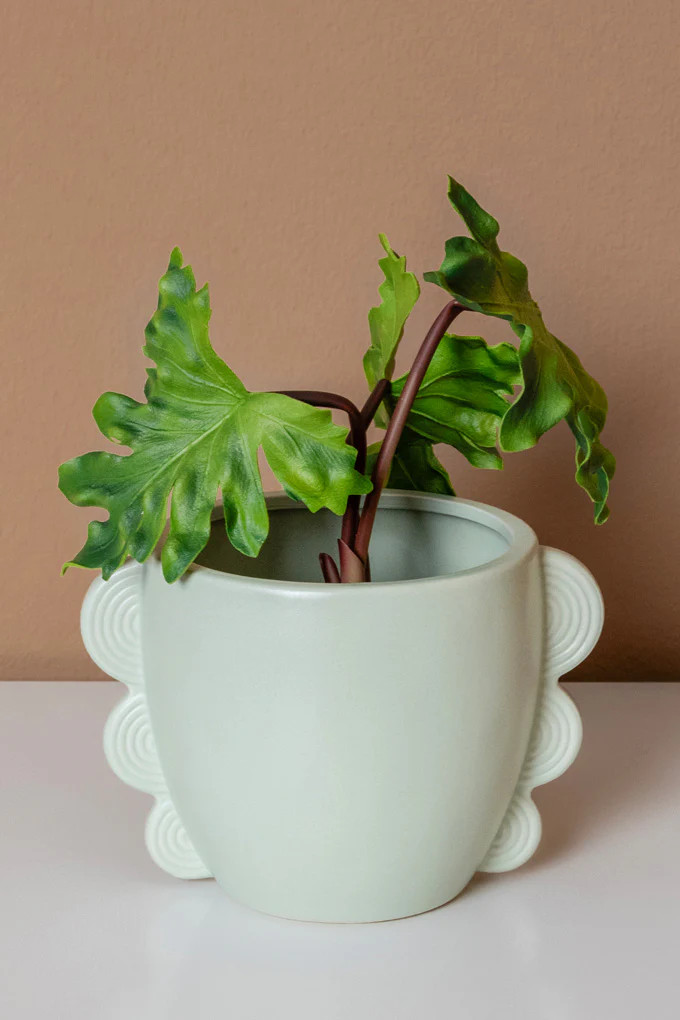 Lynn Scallop Vase | Cura Home