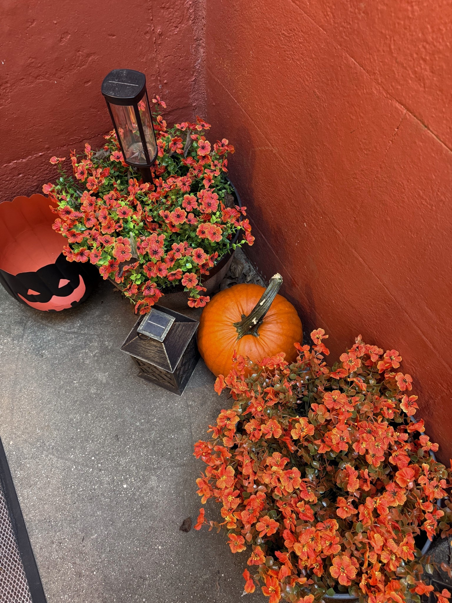 Outdoor fall porch decor, amazon faux mums 

#LTKSeasonal #LTKFindsUnder50 #LTKHome