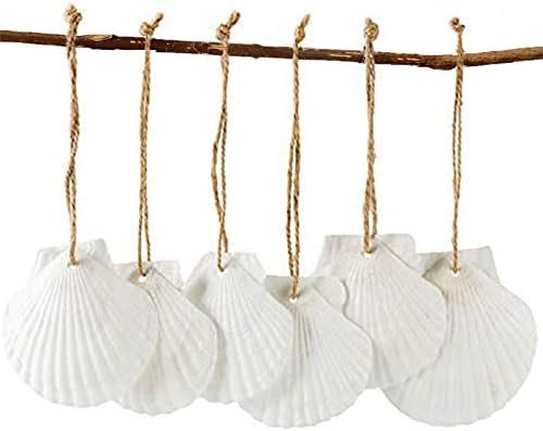 Visit the SINKOO Store | Amazon (US)