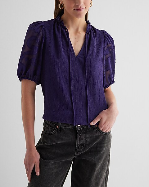 V-Neck Sheer Puff Sleeve Drawstring Top | Express