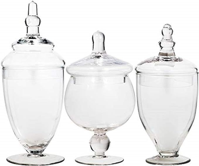 Apothecary Jars with Lids Set of 3 - Home Essentials & Beyond Candy Jars for Candy Buffet, Glass ... | Amazon (US)