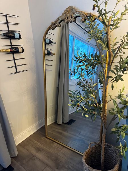 Loving this corner 🫶🏼

Home decor// Amazon home decor// full length mirror// floor mirror// olive tree



#LTKhome #LTKfindsunder50 #LTKfindsunder100