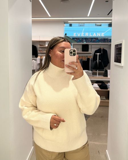 Everlane Turtleneck 

#LTKSeasonal #LTKplussize #LTKworkwear