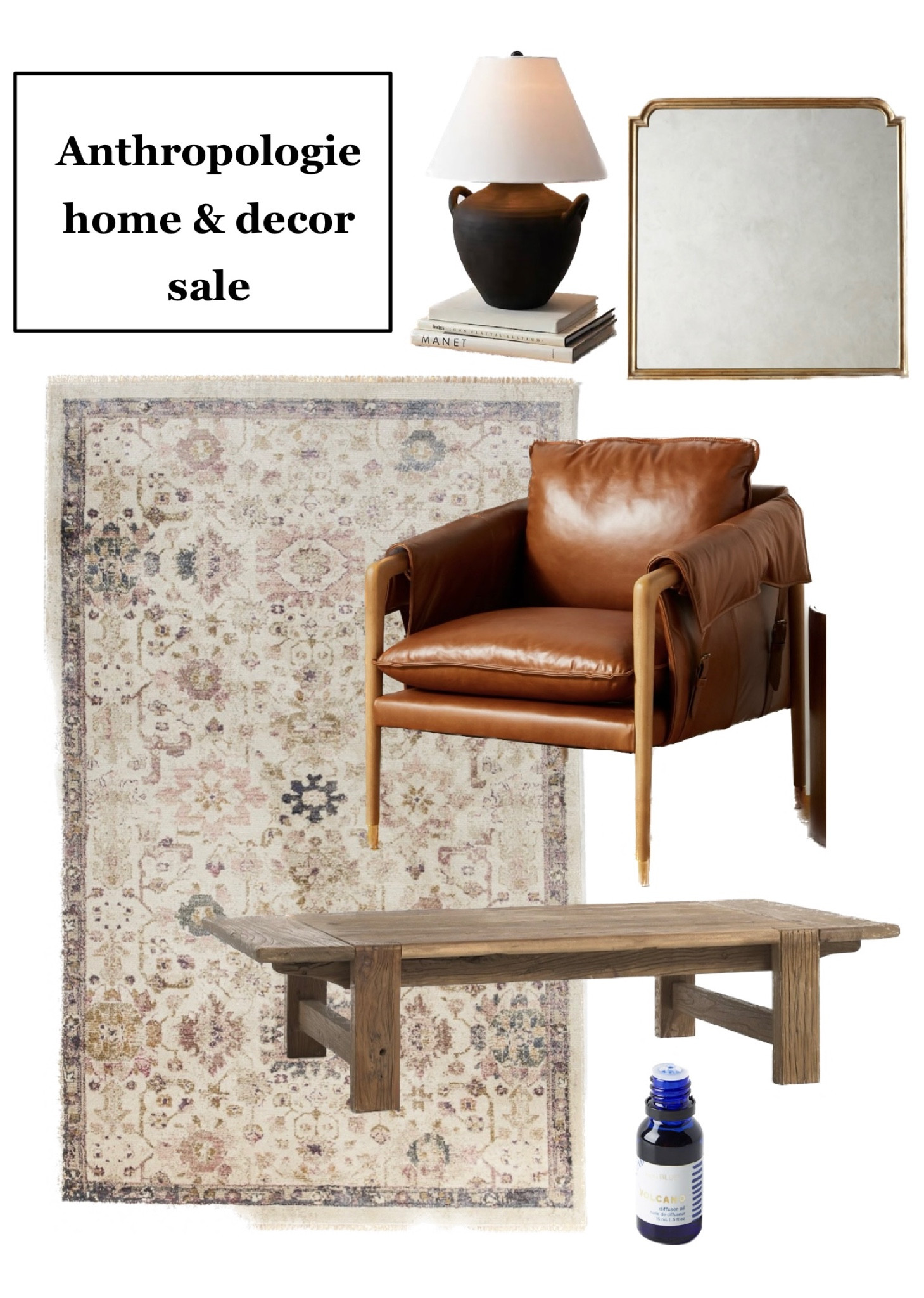Anthropologie discount havana chair