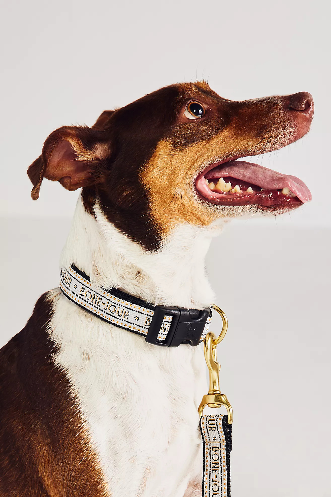 Bistro Garden Tile Dog Collar | Anthropologie (US)