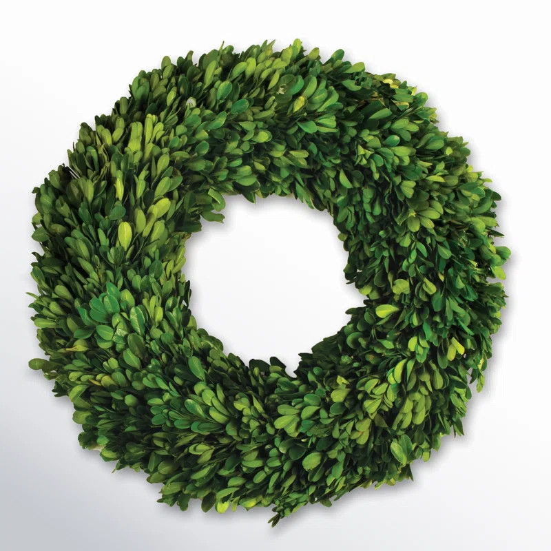 Bateman Preserved Boxwood Real Greenery Wreath | Wayfair North America