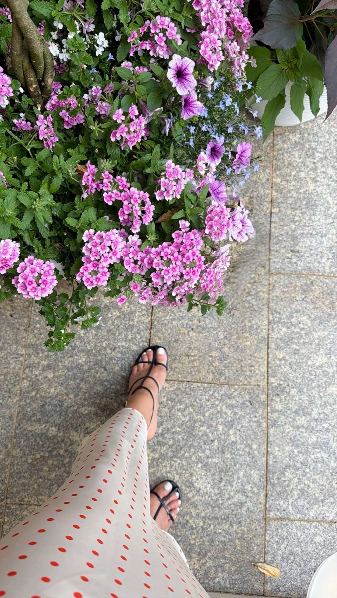 These Khaite heels are Bea and you can actually walk I t hem. So comfortable #LTKSHOES

#LTKSaleAlert