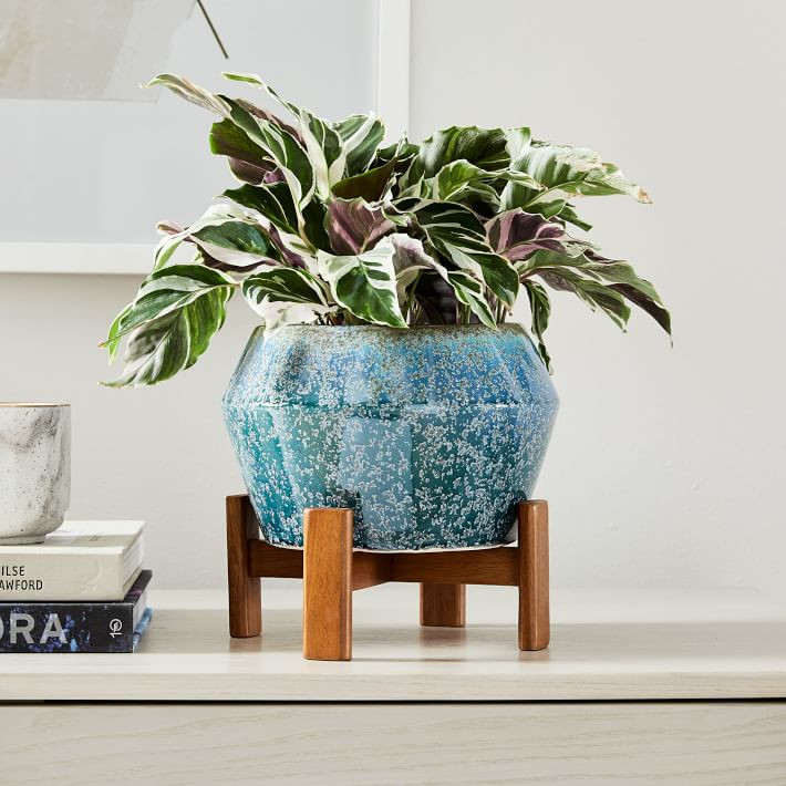 Ilya Turned Wood Tabletop Planters | West Elm (US)