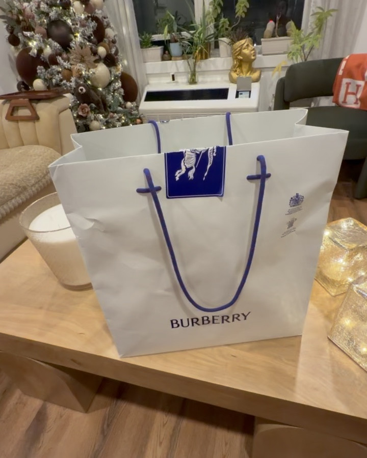 Quiet luxury done right -the kind of bag you pass down someday. Burberry at its best. 🤎

#LTKHoliday #LTKSeasonal #LTKGiftGuide