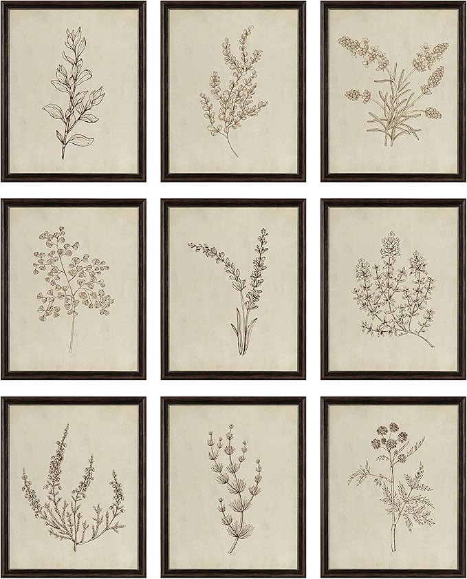97 Decor Botanical Wall Art - Vintage Botanical Prints, Plant Art Wall Decor, Neutral Floral Wall... | Amazon (US)