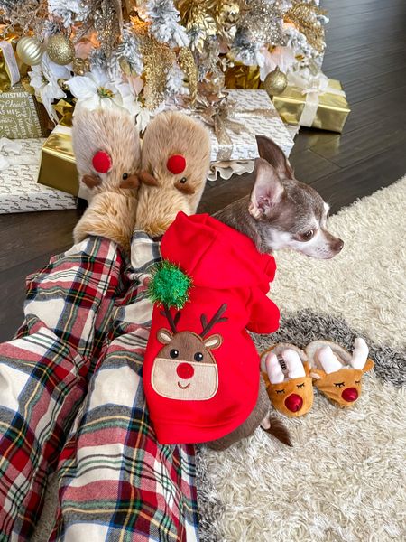 The cutest reindeer sweater!

Christmas sweater, dog sweater, dog clothes, plaid pajamas, slippers 

#LTKfamily #LTKHoliday #LTKSeasonal