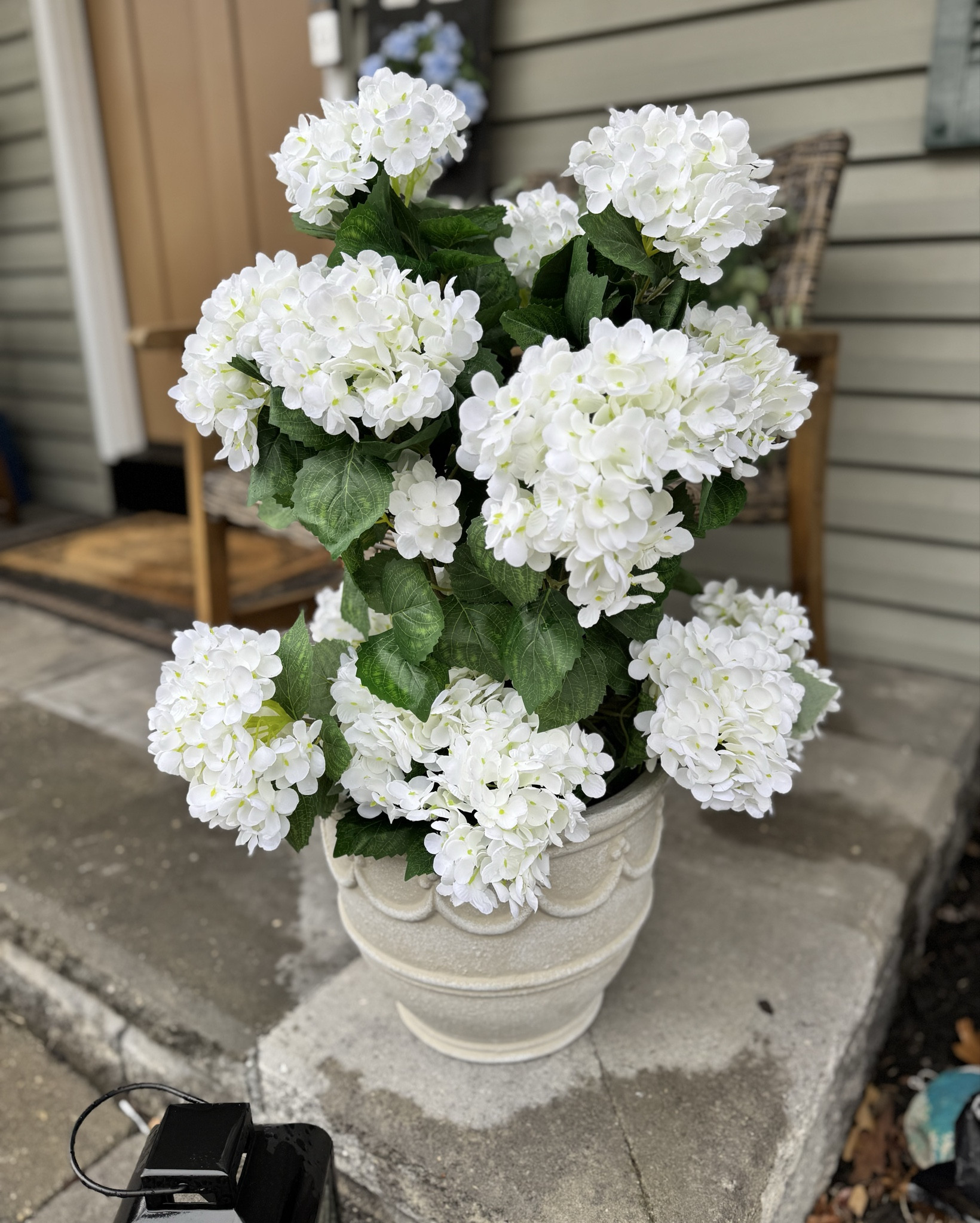 Beautiful photo hydrangeas from Amazon 2 pack

#LTKHome #LTKSaleAlert