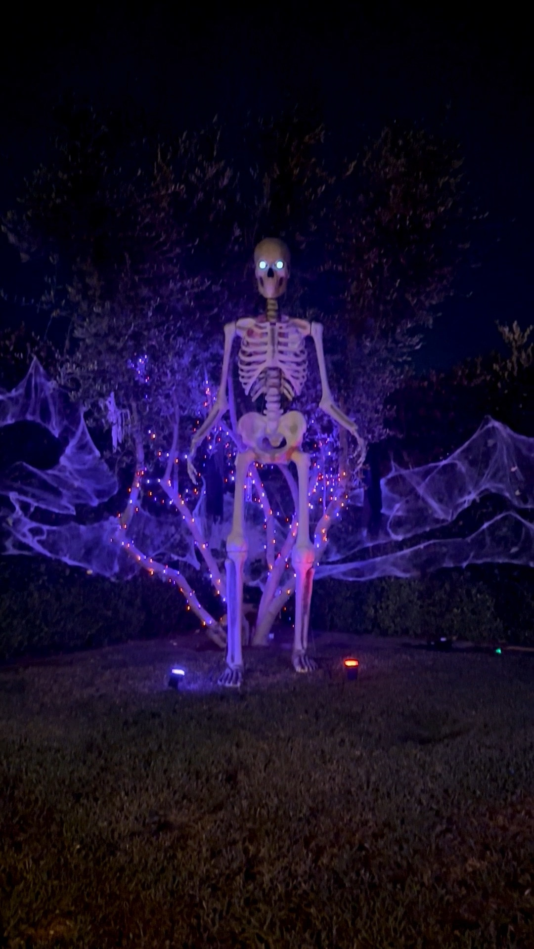 When that 12ft skeleton 💀 is in stock for Halloween you run 🏃🏼‍♀️ 
To know me is to know my love for Halloween 👻 I’m starting my decorating now 

#LTKSeasonal #LTKFamily #LTKParties