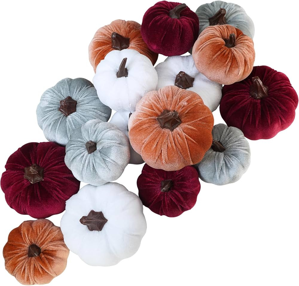 Winlyn 16 Pcs Assorted Fall Artificial Velvet Pumpkins Small Decorative Fabric Pumpkins Rustic Fo... | Amazon (US)