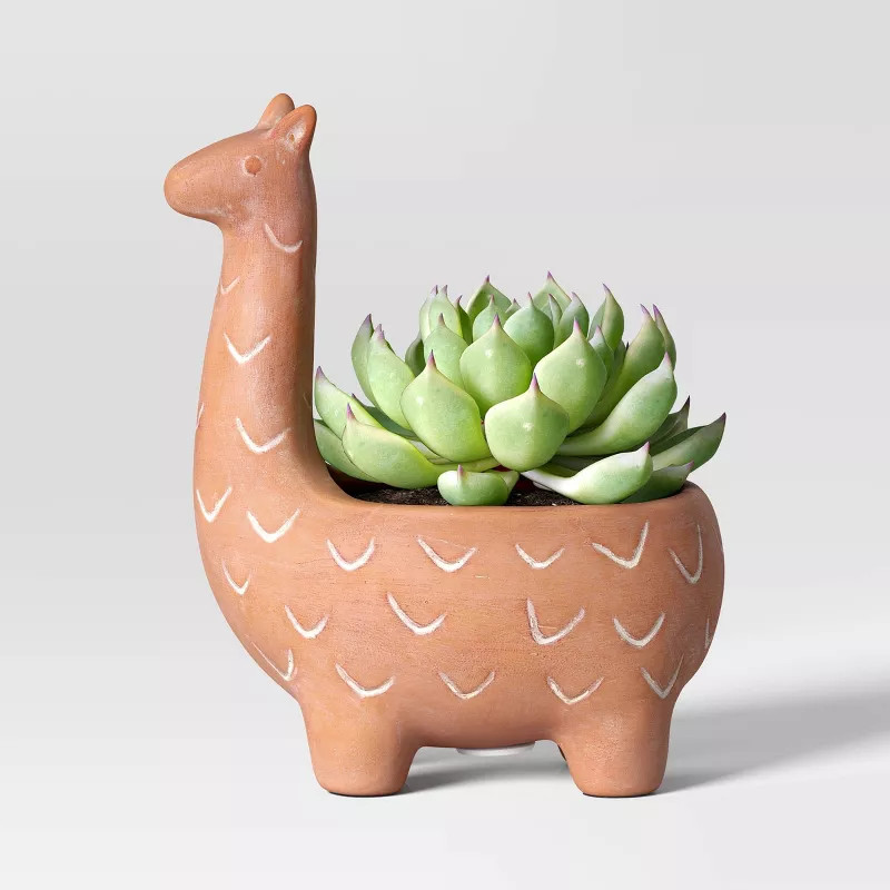 6" Wide Llama Outdoor  Earthenware Terracotta Planter Pot - Threshold™ | Target
