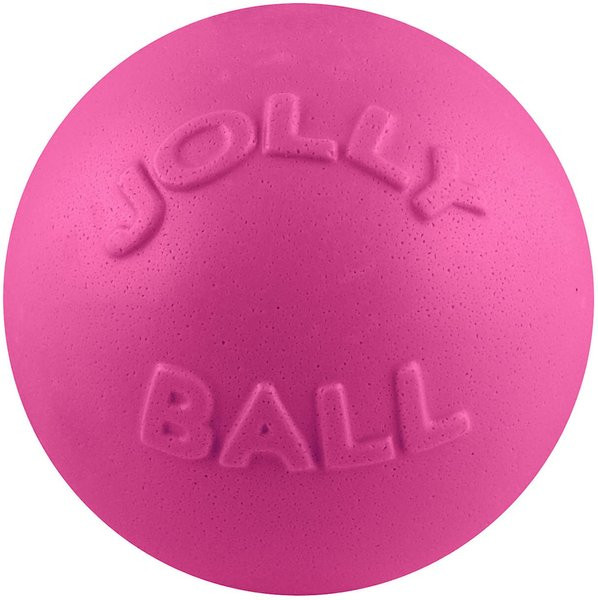 Jolly Pets Bounce-n-Play Dog Toy, Pink | Chewy.com