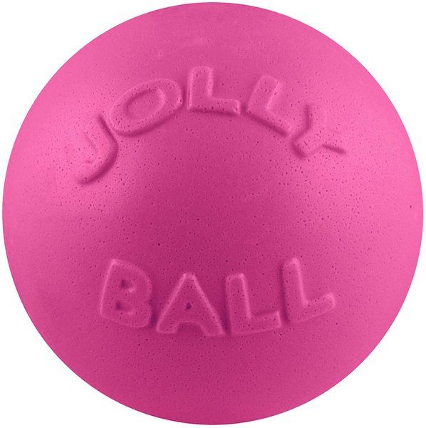 Jolly Pets Bounce-n-Play Dog Toy, Pink | Chewy.com