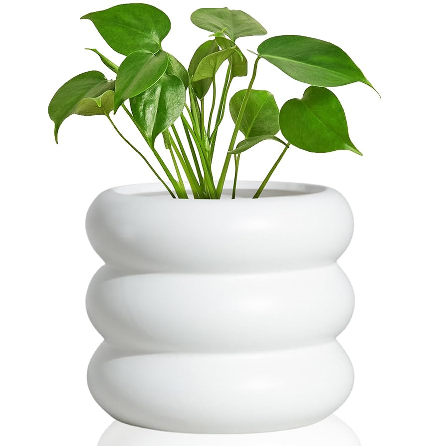 Amazon.com: 6.5 Inch Modern White Ceramic Planter Pot with Drainage Holes, Suitable for Indoor Pl... | Amazon (US)