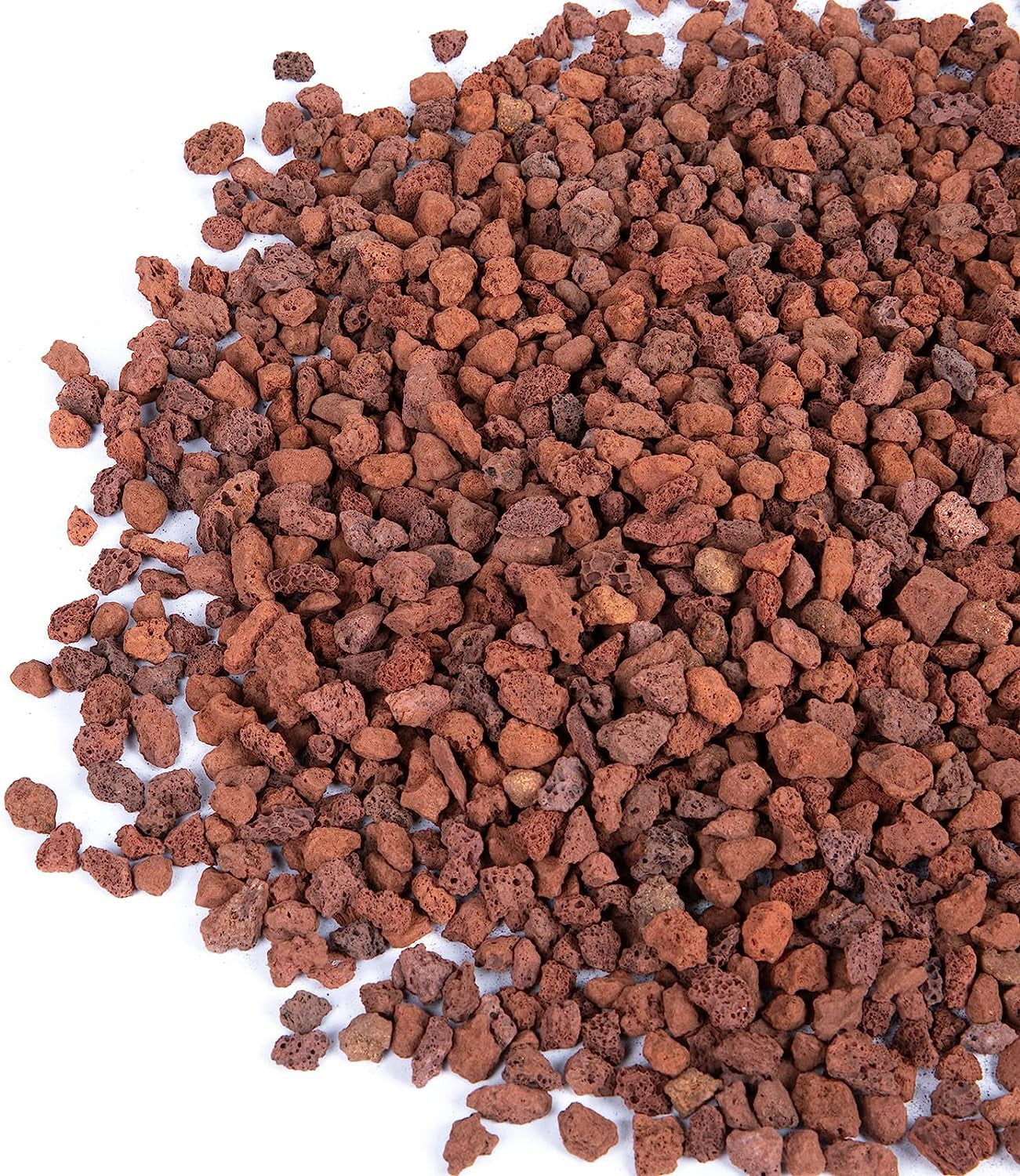 Generic | Walmart (US)