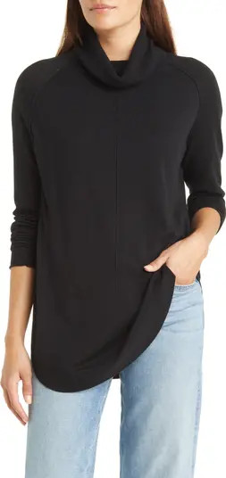 Turtleneck Tunic Sweater | Nordstrom