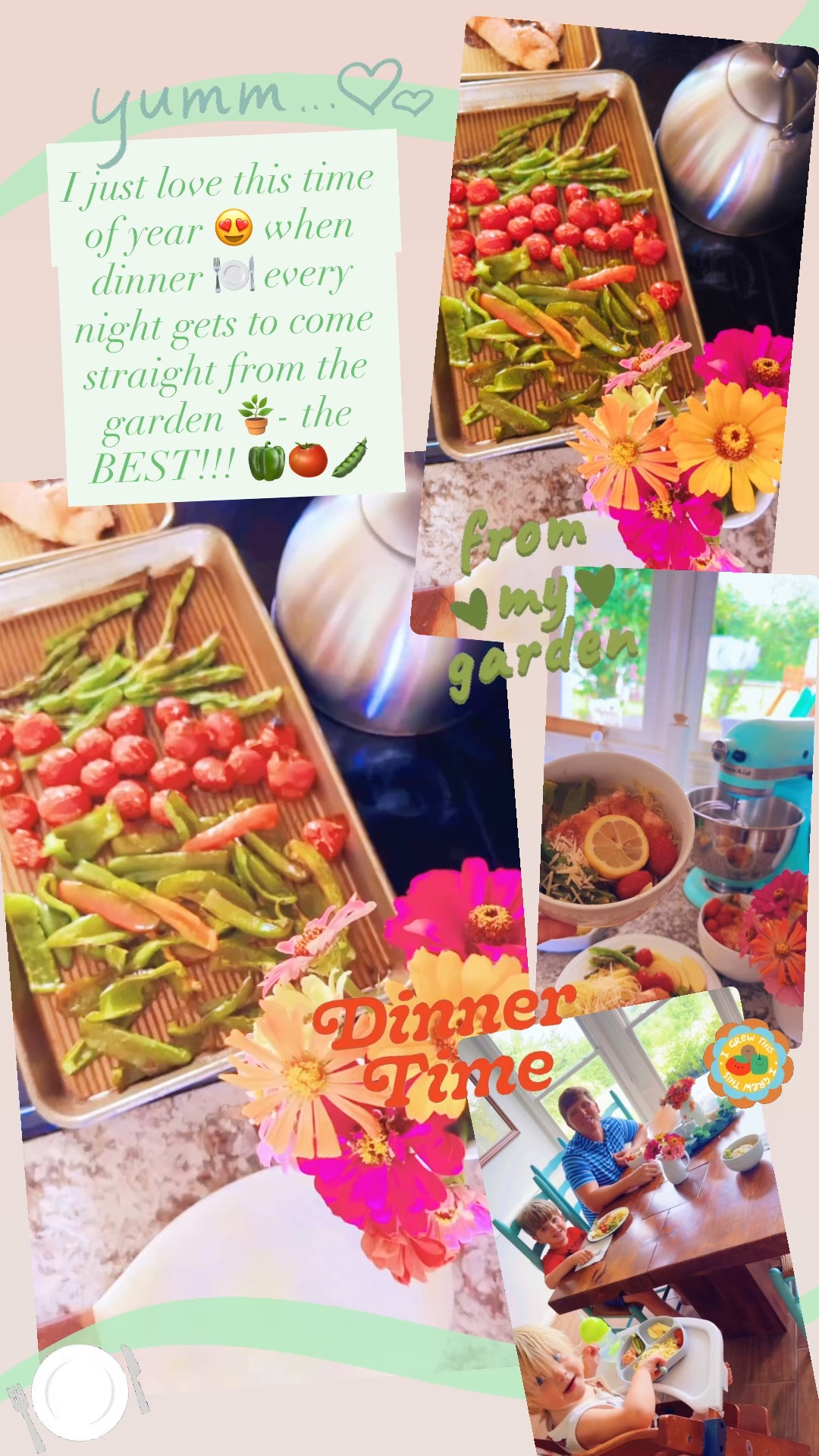 I just love this time of year 😍 when dinner 🍽️ every night gets to come straight from the garden 🪴- the BEST!!! 🫑🍅🫛