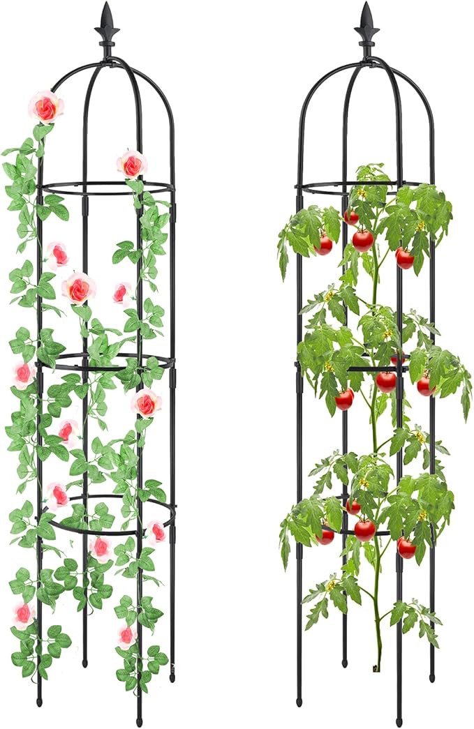 2Pcs Plant Cages and Supports, Deaunbr Tomato Cage 6FT Tall Plant Stakes Heavy Duty Garden Trelli... | Amazon (US)