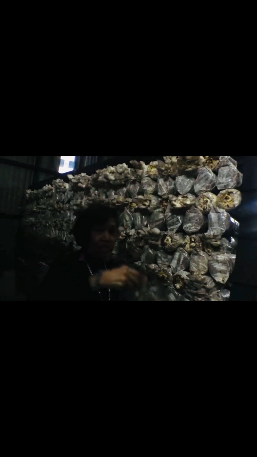 Throwback! A mushroom factory! 

#LTKfoodie #LTKdayinmylife #LTKTravel