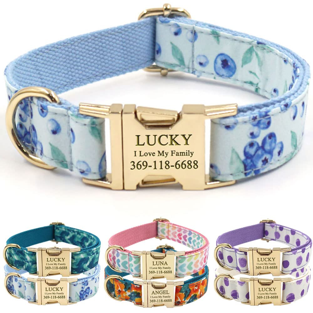 PETDURO Personalized Dog Collar Blueberries Print with Name & Phone Engraved on Gold Metal Buckle... | Amazon (US)