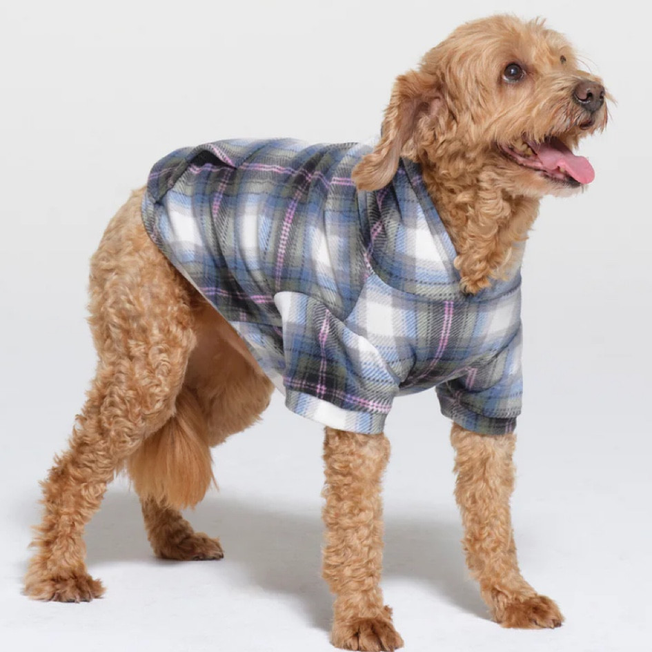 Cute dog flannel! Part of the Skims pet line! 


#LTKfindsunder50 #LTKGiftGuide #LTKHoliday