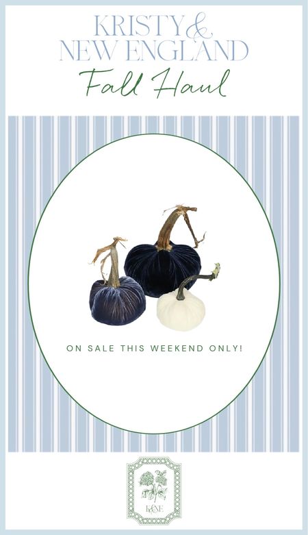 ON SALE THIS WEEKEND ONLY! limited quantities on these darling fall velvet pumpkins. Work so well in coastal interiors too 🩵

#LTKhome #LTKSeasonal #LTKFind