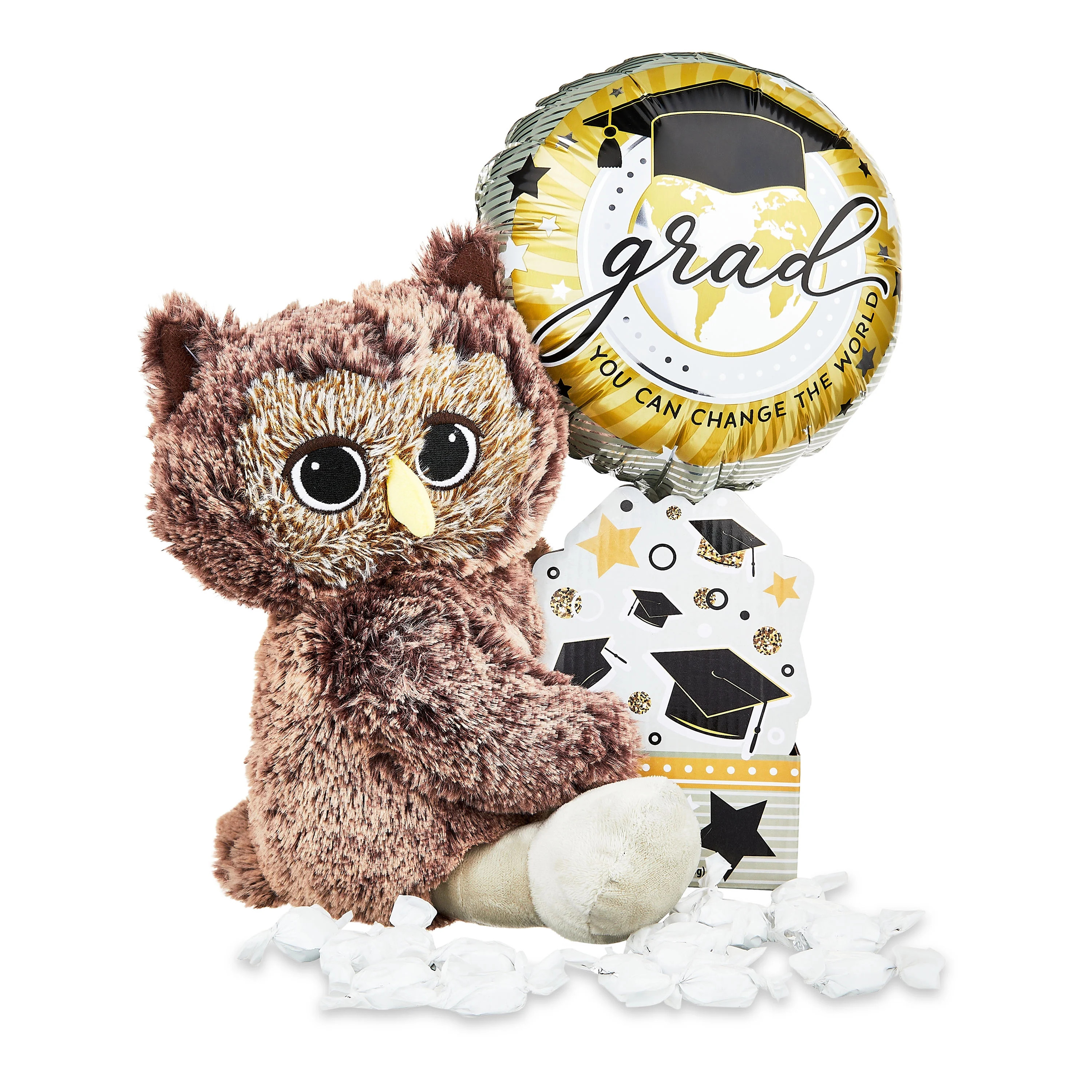 Graduation 2024 Brown Owl Plush with Candy & Balloon by Way To Celebrate - Walmart.com | Walmart (US)