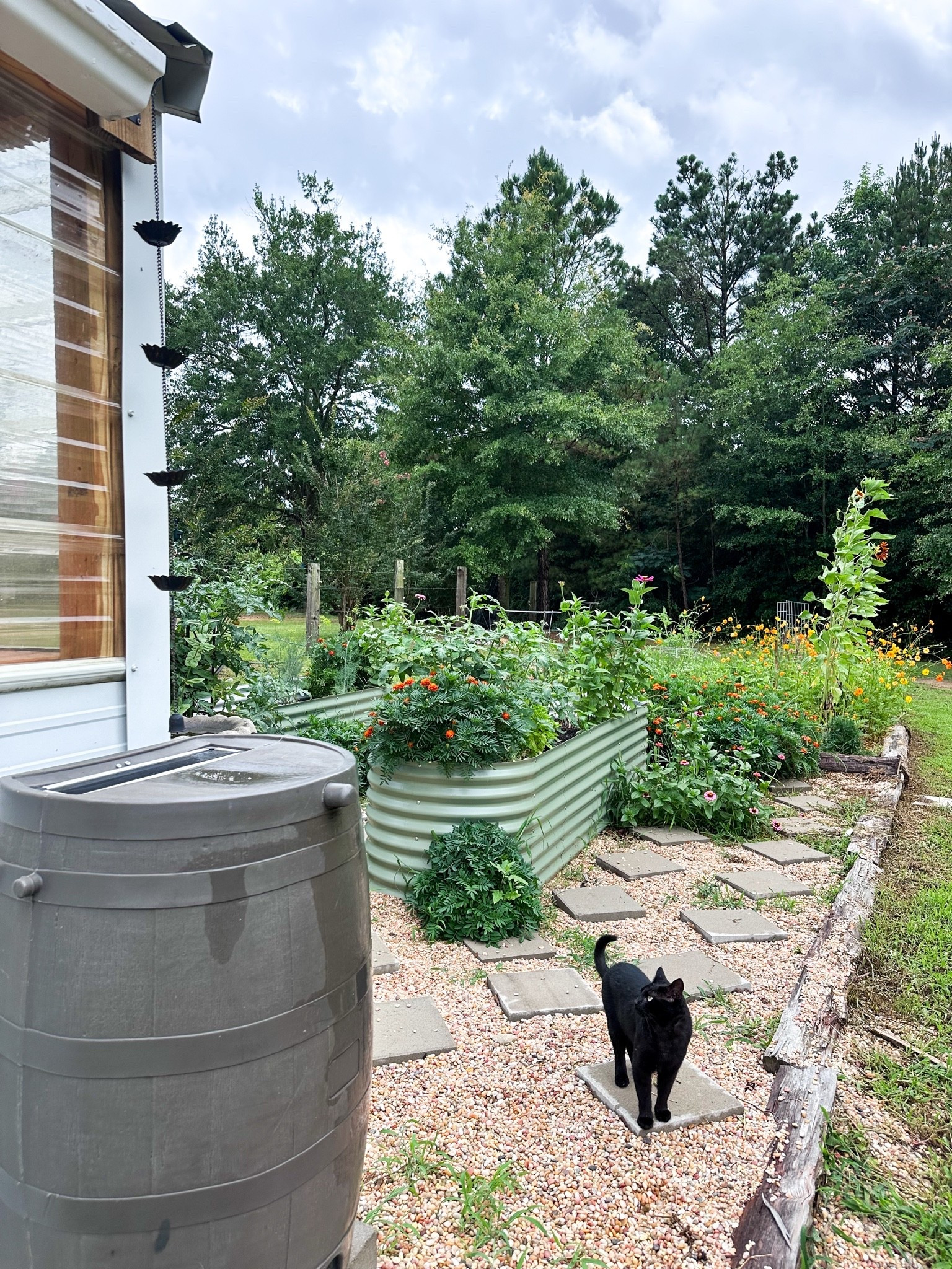 Rain chain, rain catchment barrel, raised garden beds

#LTKHome #LTKSaleAlert #LTKSeasonal