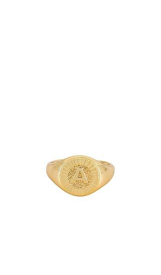 Initial Medallion Signet Ring in Gold | Revolve Clothing (Global)