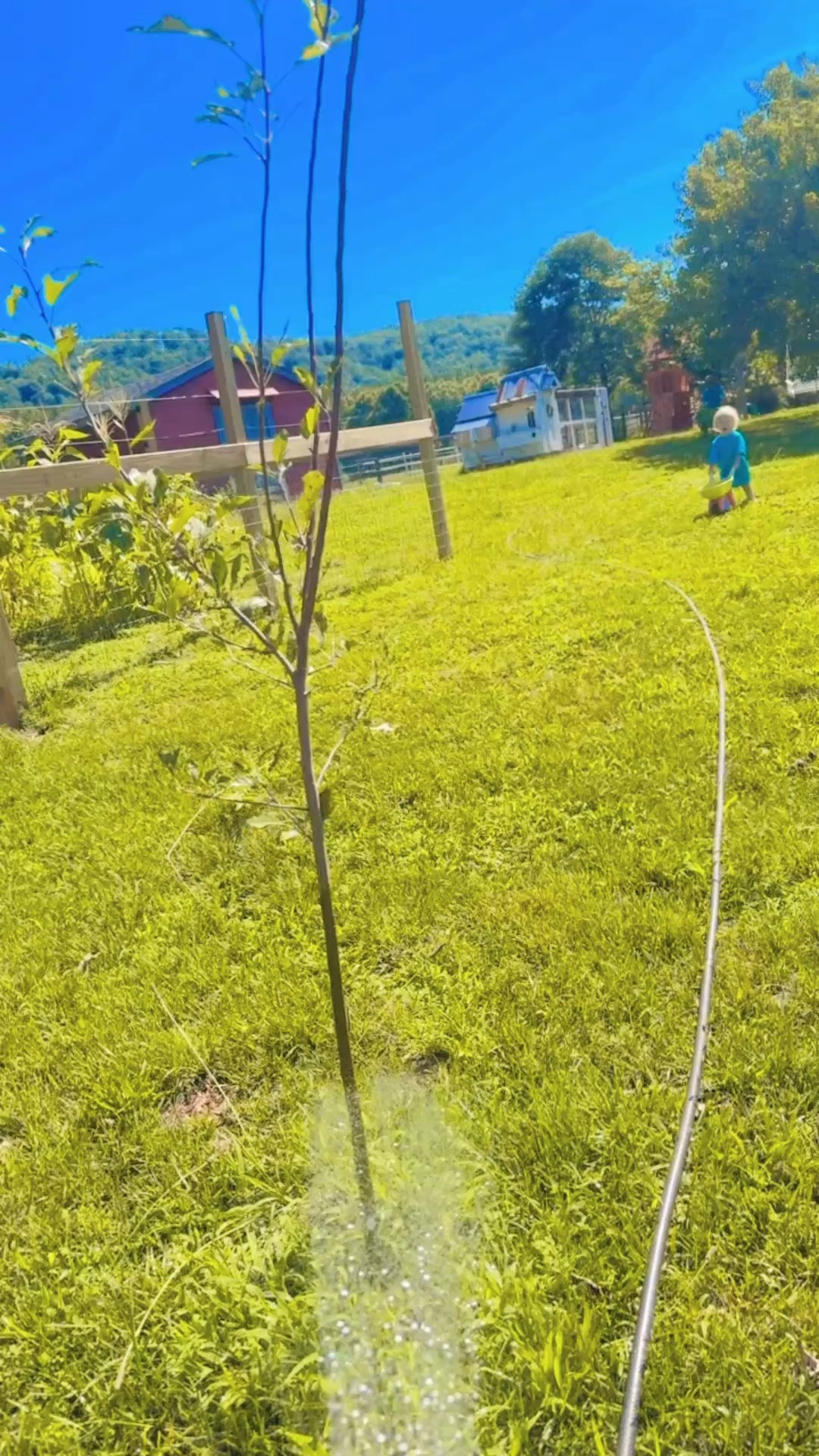 out in our country backyard here on the farm - running wheelbarrows 🌾, watering 💦 the garden 🪴 & orchard 🌳, admiring butterflies 🦋, and making it “snow” ❄️ hehe 😉 with the crepe myrtle blooms 🌸 (like I always did as a little girl 👧- so nostalgic)!! I love being a mama and spending my days raising these sweet country 🤠 babies!!! 👶🏼