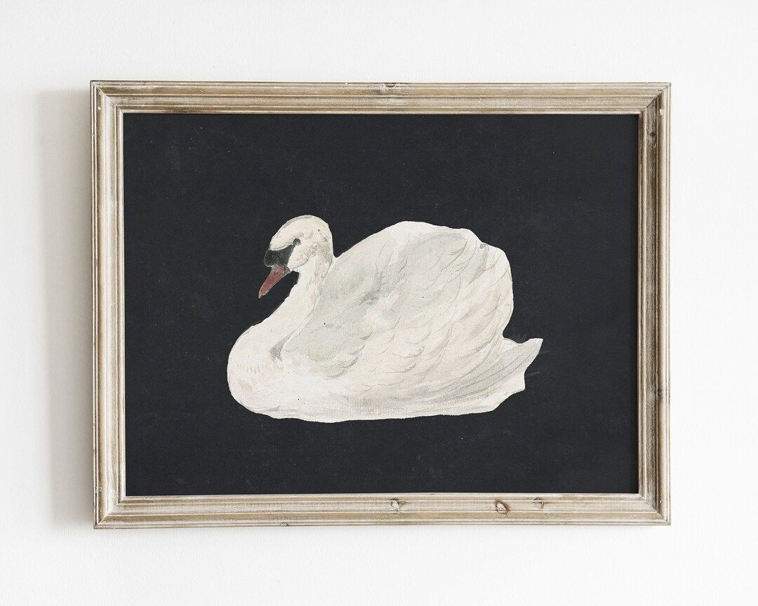 Vintage swan print | antique swan painting | vintage nursery wall decor | bird watercolor paintin... | Etsy (US)