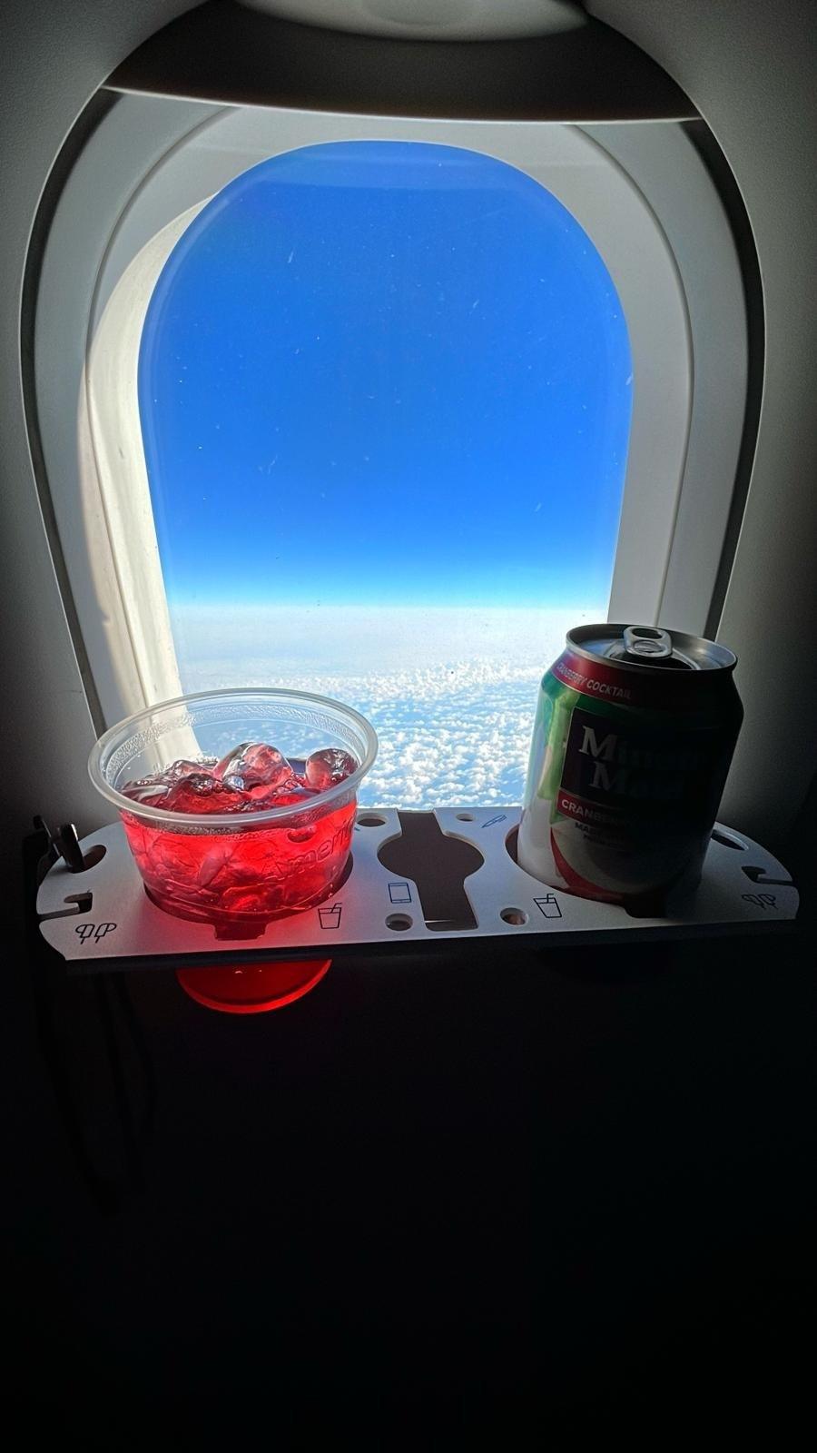 In-flight Travel essential for window seat, beverage organizer

#LTKSummerEdit #LTKFindsUnder50 #LTKTravel