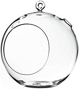 WGV Hanging Terrarium Globe, Width 8", Height 9", DIY Air Succulent Planter, Clear Glass Vase Orb... | Amazon (US)