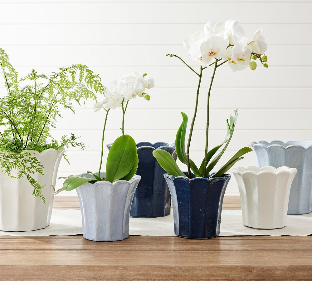 Fluted Tulip Cachepot | Pottery Barn (US)