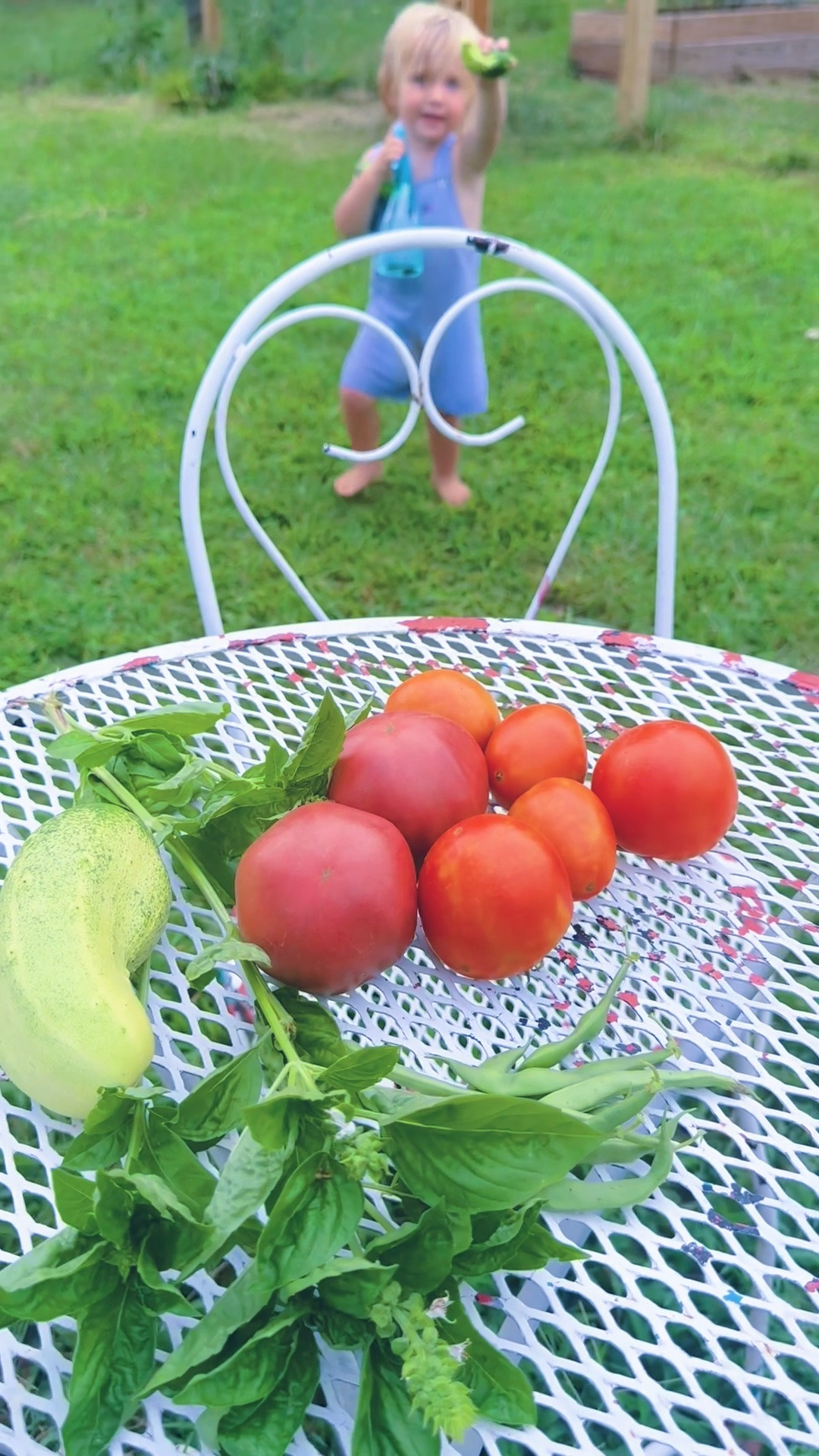And ended the evening harvesting even more (!!) tomatoes 🍅 and green beans 🫛 from our garden 🪴- listen to that sweet baby voice!!! My heart!!! ❤️
