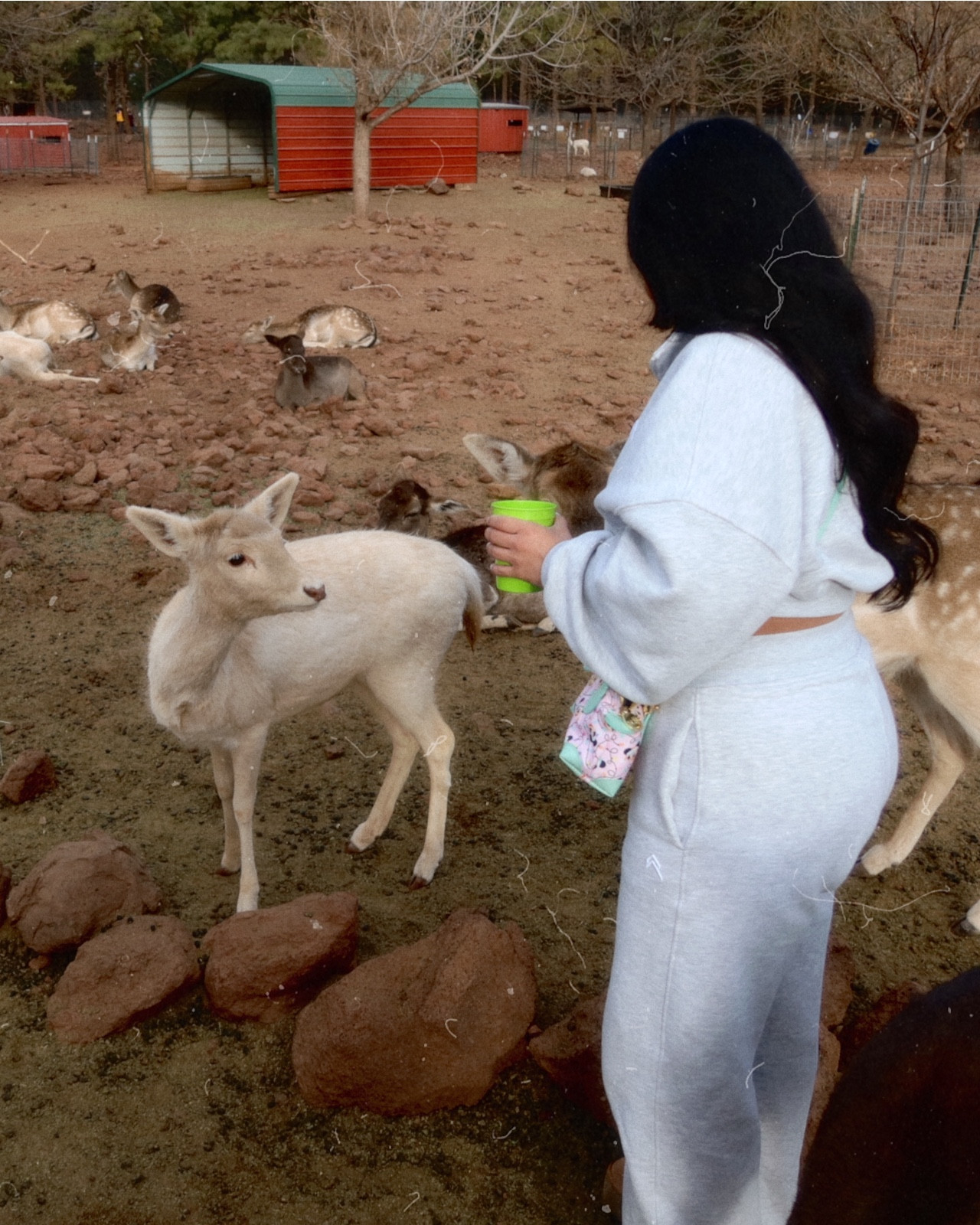 oner sweatshirts/hoodies: small
bottoms: small - short

#LTKSeasonal #LTKActive #LTKItBag