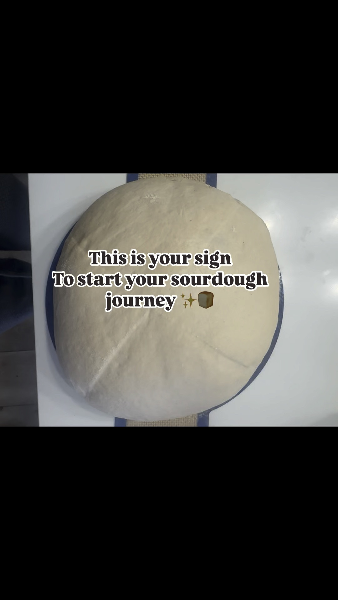 Not an expert sourdough maker but learning a new craft that feeds your family and they love it is so rewarding. So if you always wanted to try but feel intimidated just DO IT. I have failed so many times and that encouraged me to keep baking and redeem myself. Link in bio to everything you need to get started 🩷✨🍞 lets make that bread!!

#LTKfoodie #LTKHome #LTKdayinmylife