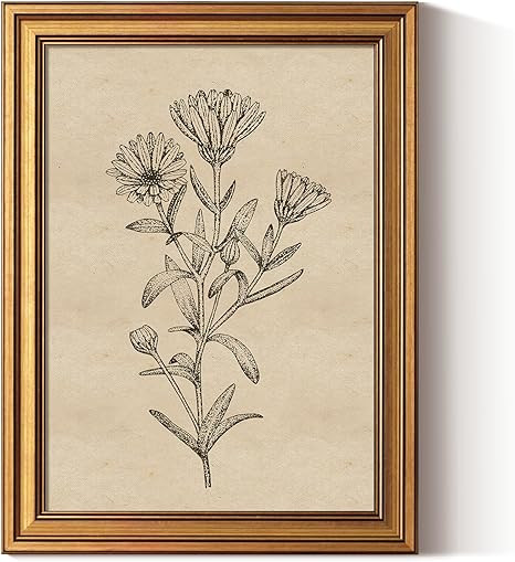 ARPEOTCY Gold Framed Canvas Art Prints,12x16inch, Botanical Wildflower Art Painting, Vintage Coun... | Amazon (US)