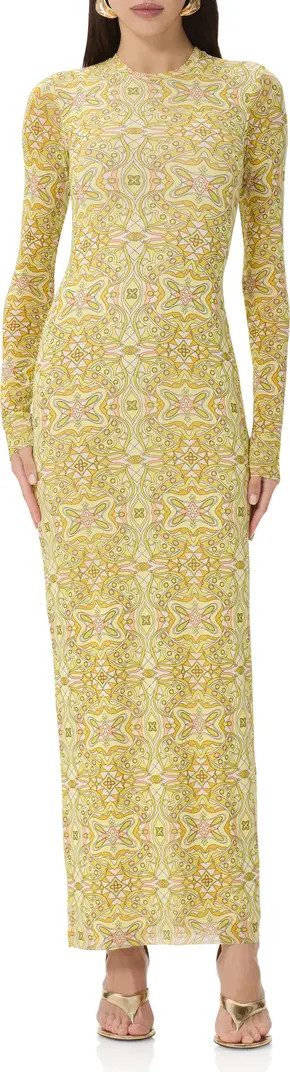 AFRM Didi Print Long Sleeve Maxi Dress | Nordstrom | Nordstrom