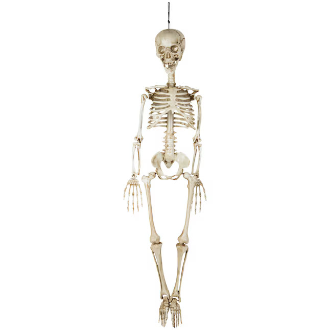 Haunted Living 35.43-in Skeleton Hanging Decoration | Lowe's