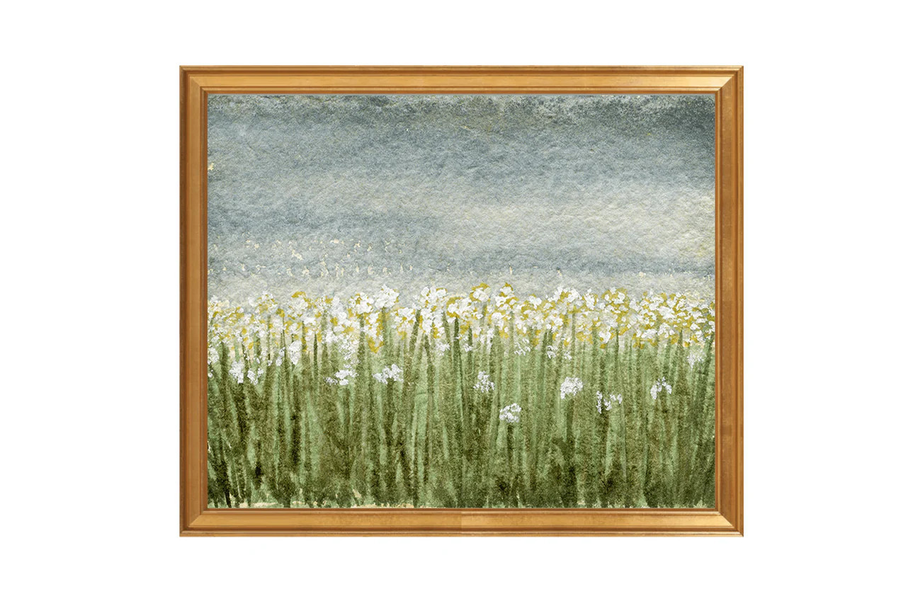 Daisy | North and Finch