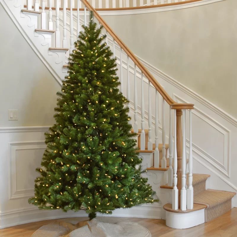 Pre-Lit 7.5' Green Spruce Christmas Tree with 550 Clear/White Lights | Wayfair North America