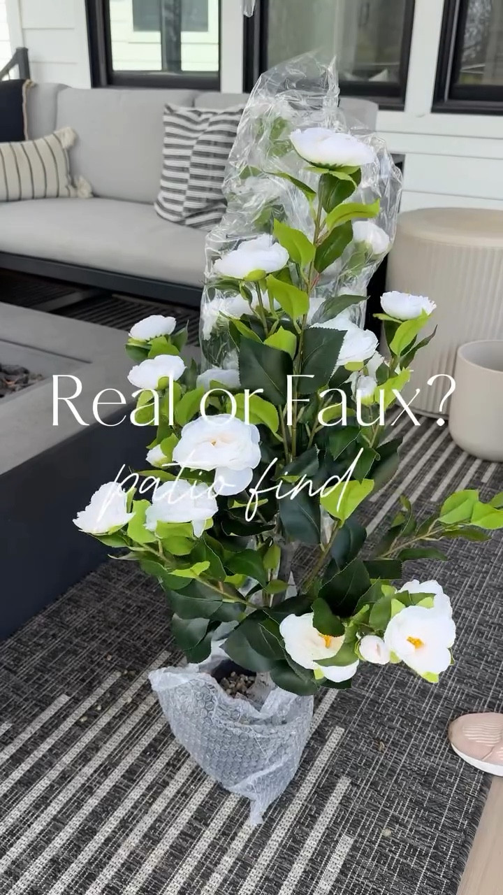I’m starting to get our back porch ready for Spring! It’s still a little chilly here & I like low maintenance so I ordered these faux camellia trees 2-pack and popped them into some planters. Easy peasy and look so pretty! The planters & lanterns are 30% off thru Saturday!

#LTKSaleAlert #LTKSeasonal #LTKHome