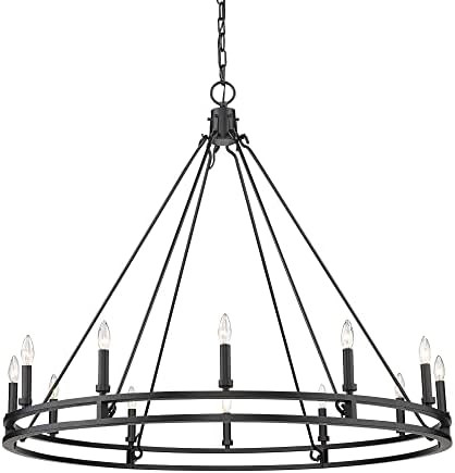 Z-Lite 12 Light Chandelier 4005-12MB, Black | Amazon (US)