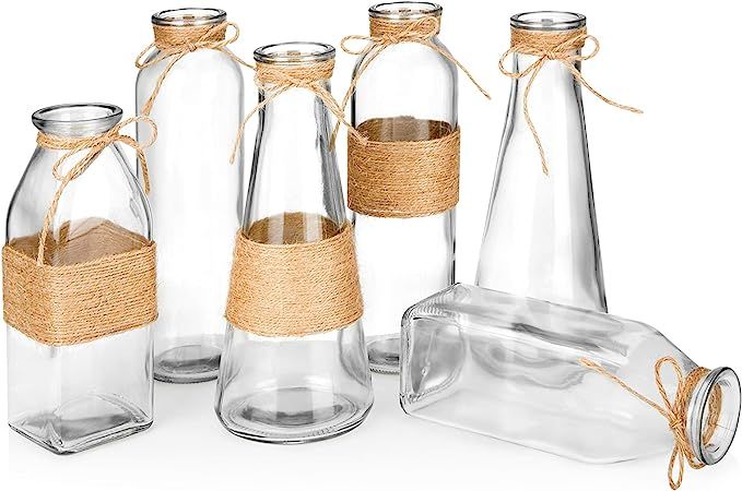 Glass Vases in Differing Unique Shapes Creative Rope Design - Set of 6 | Amazon (US)