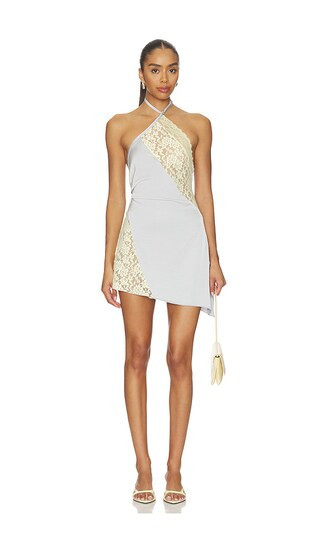 LIONESS Amore Mini Dress in Grey. - size S | Revolve Clothing (Global)
